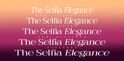 The Selfia Elegance Font Poster 3