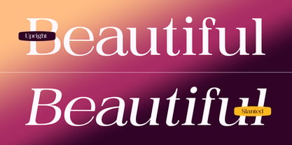 The Selfia Elegance Font Poster 4