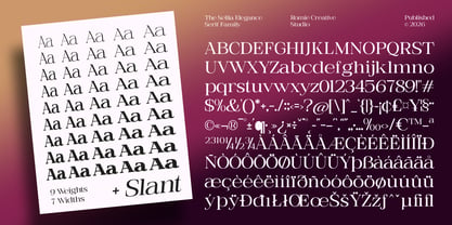 The Selfia Elegance Font Poster 11