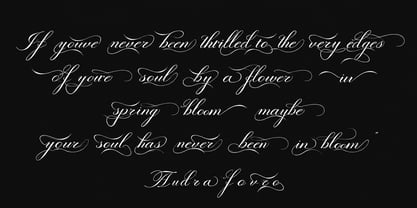 Valetia Font Poster 5