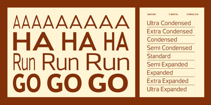 Vantori Font Poster 2