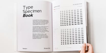 Vantori Font Poster 13