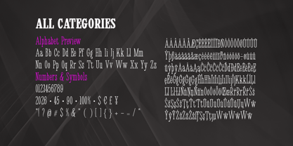 En Passant Font Poster 7