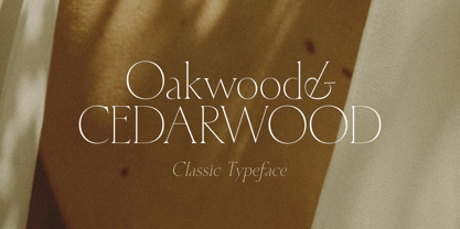 HV Cedarwood Font Poster 1