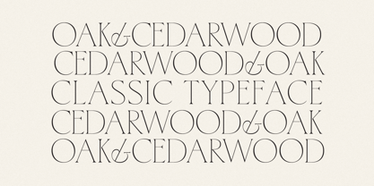 HV Cedarwood Font Poster 3