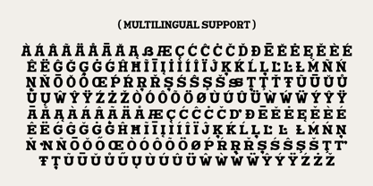 Nuega Font Poster 12
