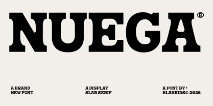 Nuega Font Poster 1