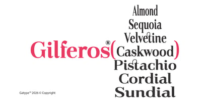 Gilferos Cntr Font Poster 5