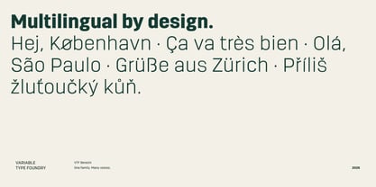 VTF Berezin Font Poster 10