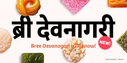 Bree Devanagari Font Poster 7