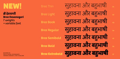 Bree Devanagari Font Poster 4