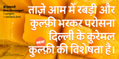 Bree Devanagari Font Poster 2
