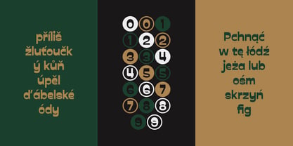 PRAK Trotoer Font Poster 13