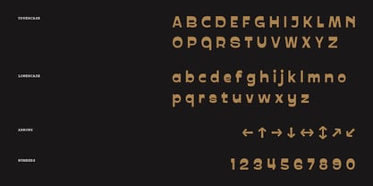 PRAK Trotoer Font Poster 4