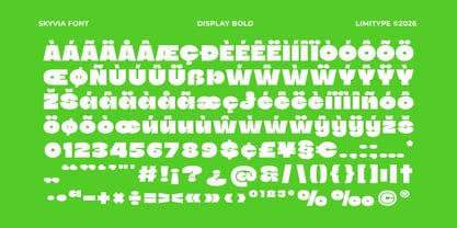 Skyvia Font Poster 11