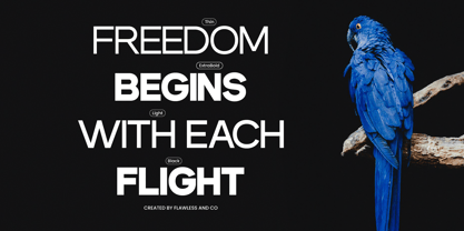 Dectone Font Poster 4