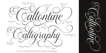 Callontine Font Poster 2