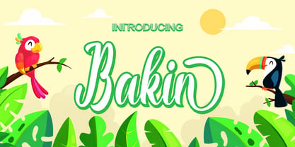 Bakin Font Poster 1
