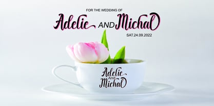Bakin Font Poster 4