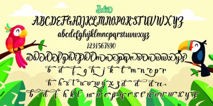 Bakin Font Poster 3