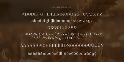 Romance Utille Serif Font Poster 2