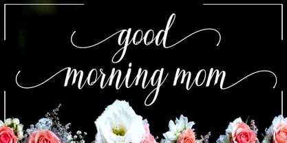 Dear mother Font Poster 5