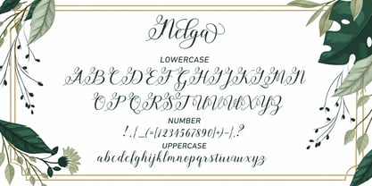 Nelga Font Poster 4