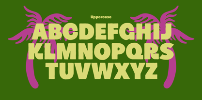 Plumo Font Poster 2