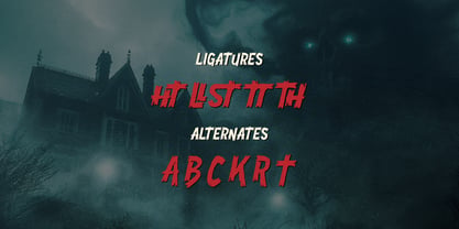 Madness Scratch Font Poster 12