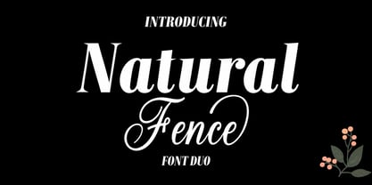 Natural Fence Font Poster 1
