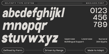 Selfinty Font Poster 14