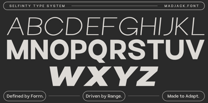 Selfinty Font Poster 13