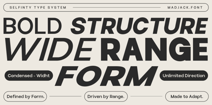 Selfinty Font Poster 4