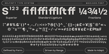 Selfinty Font Poster 15