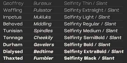 Selfinty Font Poster 2