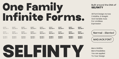 Selfinty Font Poster 3