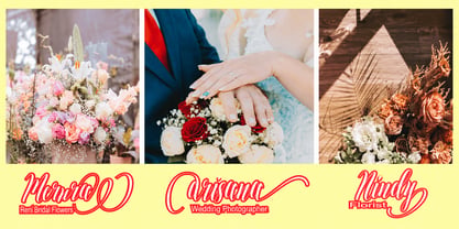 Amelia diana Font Poster 2