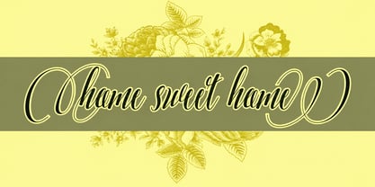 Amelia diana Font Poster 4