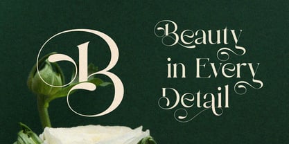 Bulgash Font Poster 4