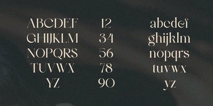 Bulgash Font Poster 9