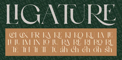 Bulgash Font Poster 7
