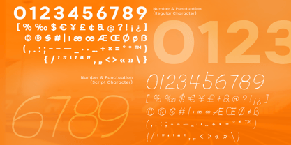 Victoria Winter Font Poster 13
