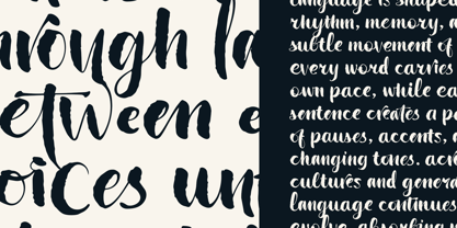 Wildwritten Font Poster 13