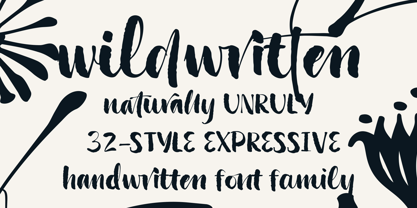 Wildwritten Font Poster 1