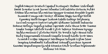 Wildwritten Font Poster 10