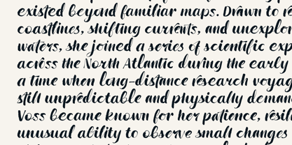 Wildwritten Font Poster 11