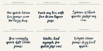 Wildwritten Font Poster 6