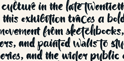 Wildwritten Font Poster 12