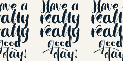 Wildwritten Font Poster 2