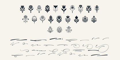 Wildwritten Font Poster 9